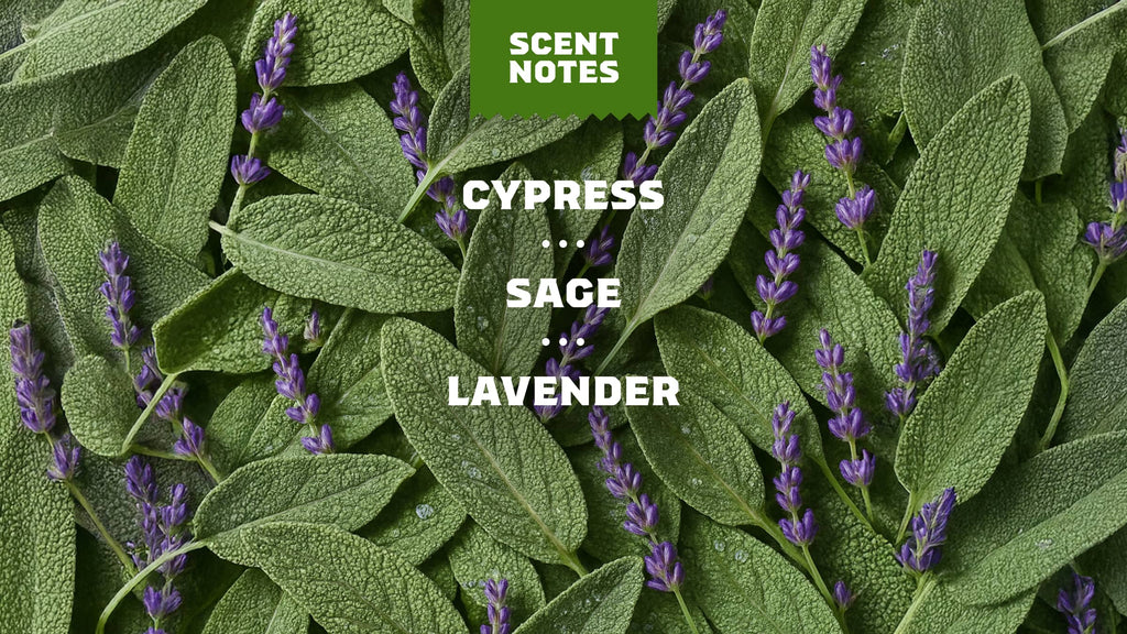 Scent notes graphic (Warm Mountain Breeze) used on Dr. Squatch product pages