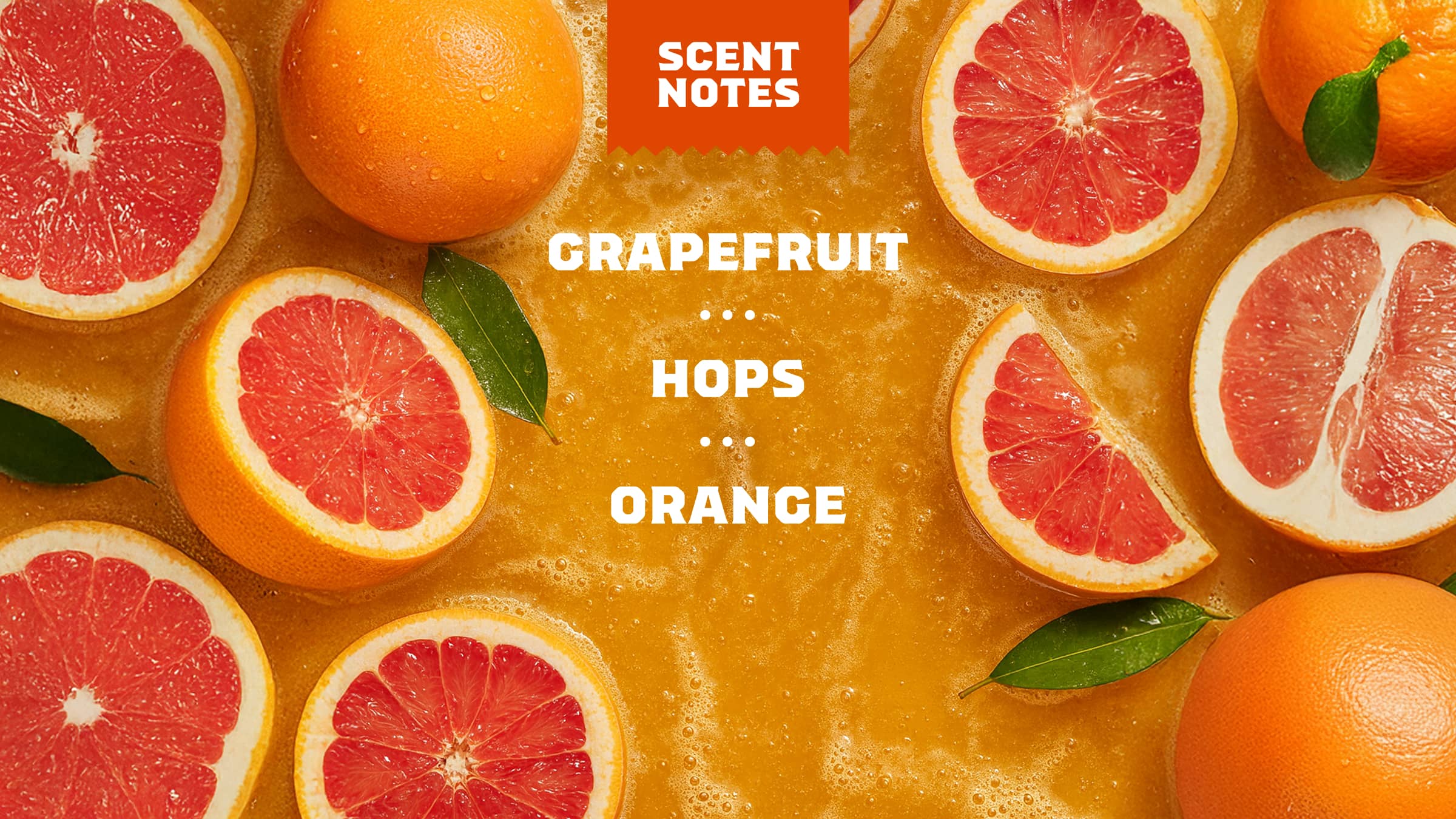 Scent notes graphic for Dr. Squatch Grapefruit IPA bar soap: Citrus & Hops
