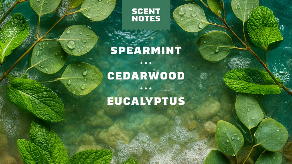 Scent notes graphic used on Dr. Squatch product pages