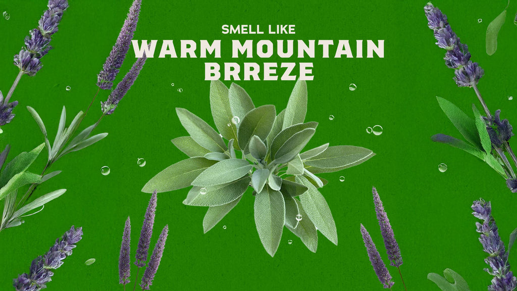 Warm Mountain Breeze scent inspiration imagery used on Dr. Squatch product pages