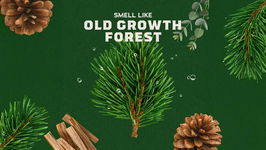 Scent inspiration imagery used on Dr. Squatch product pages